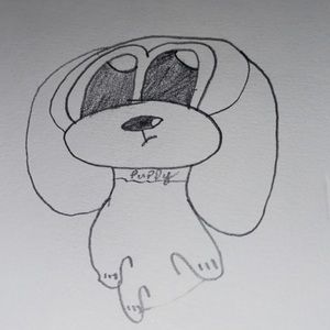 Meet your Posher, Evan